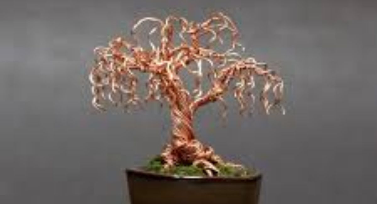 bonsai willow